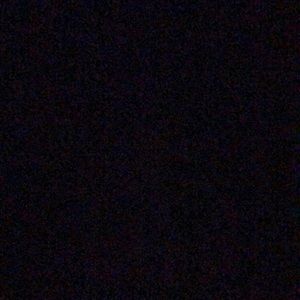 Meet your Posher, Curtis